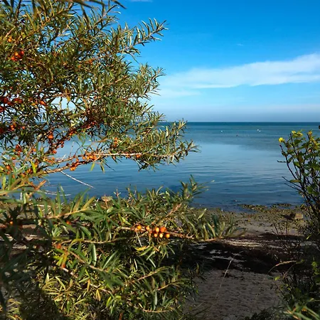Seerose * Insel Poel