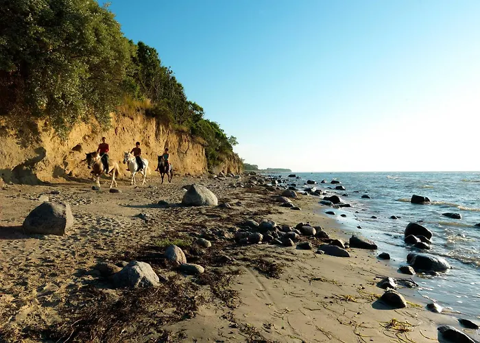 Seerose Lejlighed