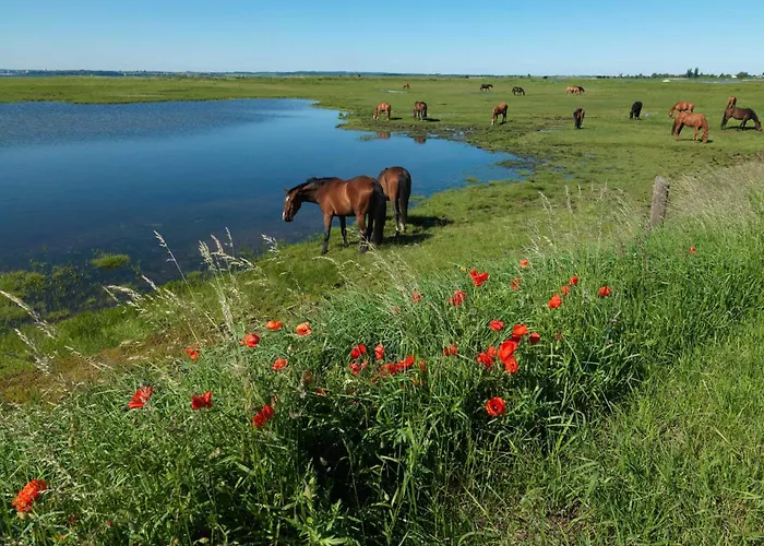 Lejlighed Seerose Poel